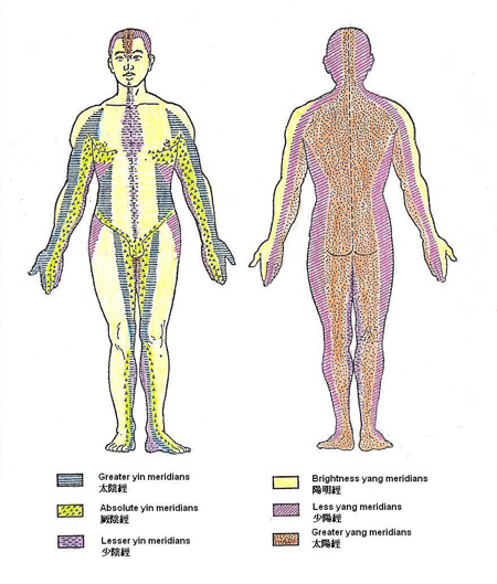 Skin segments according to the order and arrangement of meridian flow