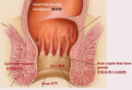 How To Stop Bum Crack Sweat Lubrication