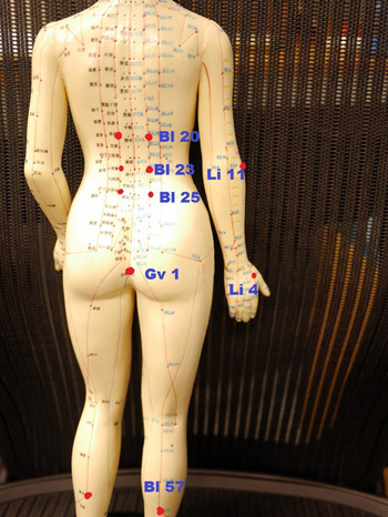 Acupuncture points for itchy anus