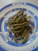 Schizonepeta herb