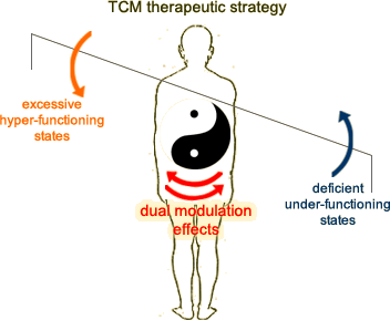 Therapeutic strategy of Chinese medicine