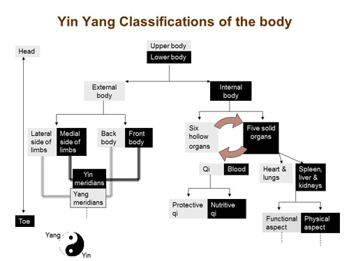 Yin and Yang. The main idea that Chinese medicine is…