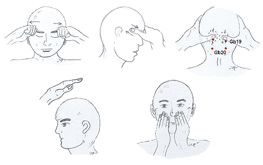 Massage to promote the facial and head region
