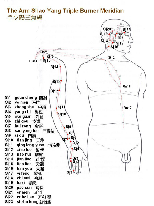 手少陽三焦經