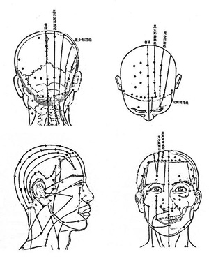 Meridian and acupoint distributions of the head region