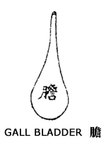 gall-bladder