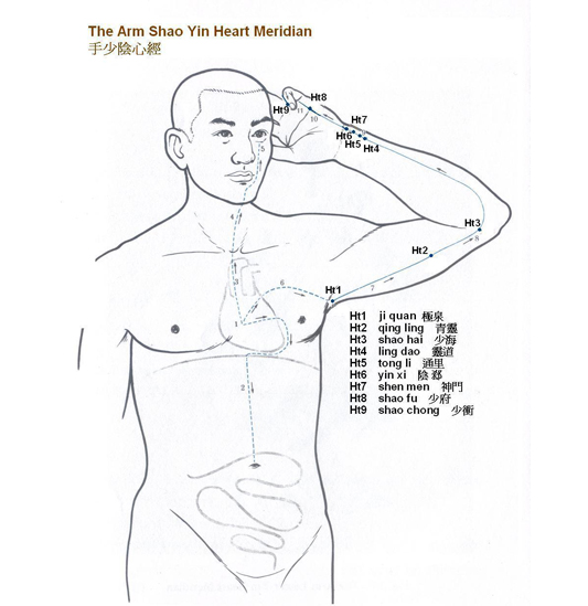 Arm Shao Yin Heart Meridian
