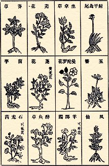 illustrations from ben-cao-gang-mu