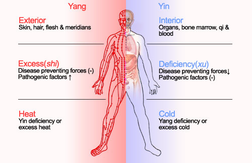 The eight principles of TCM