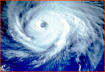 External wind can affect the lungs while internal wind is mostly generated by the liver.