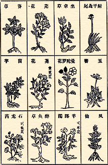Illustrations form the Bencao Gangmu (Compendium of Materia Medica)
