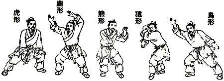 Physical exercises - tiger, deer, bear, monkey and bird movements.