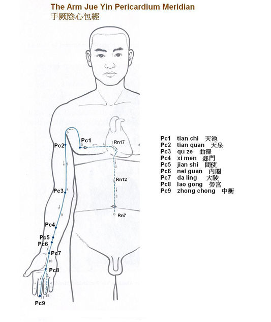 Arm Jue Yin Pericardium Meridian