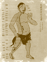 Stomach meridian