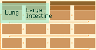 pic_chart_01