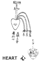 pic_qi_heart