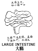pic_qi_l_intestine