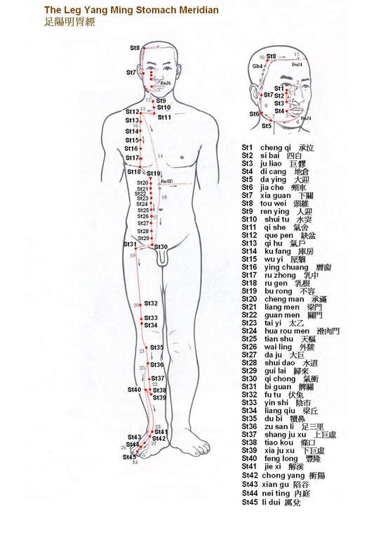 Leg Yang Ming Stomach Meridian