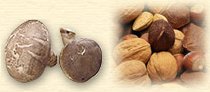 Dried mushroom and walnut help to invigorate qi and built up resistance