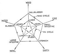 The five elements and organs diagram