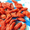 Barbary wolfberry fruit