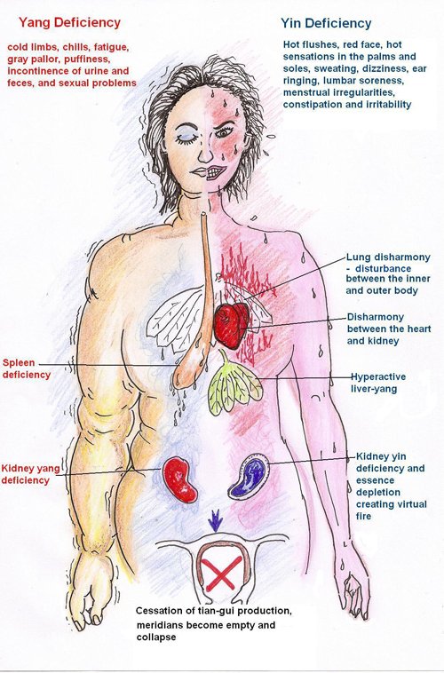 TCM views on the development of menopause problems 