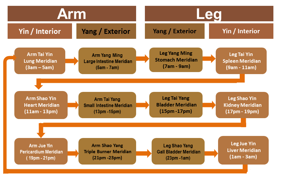 meridian-flow-chart