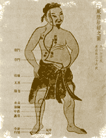 Liver meridian