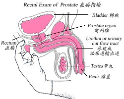 pic_diagram2