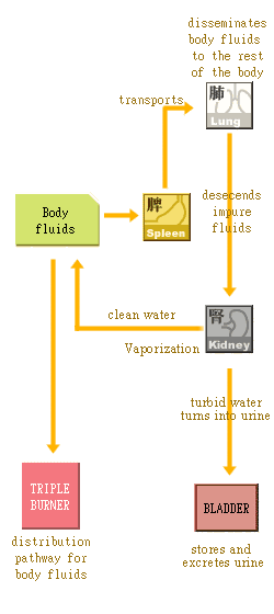 pic_tcm_definition1
