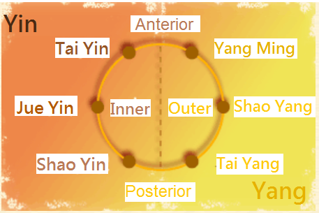yin-yang-positions around the limbs