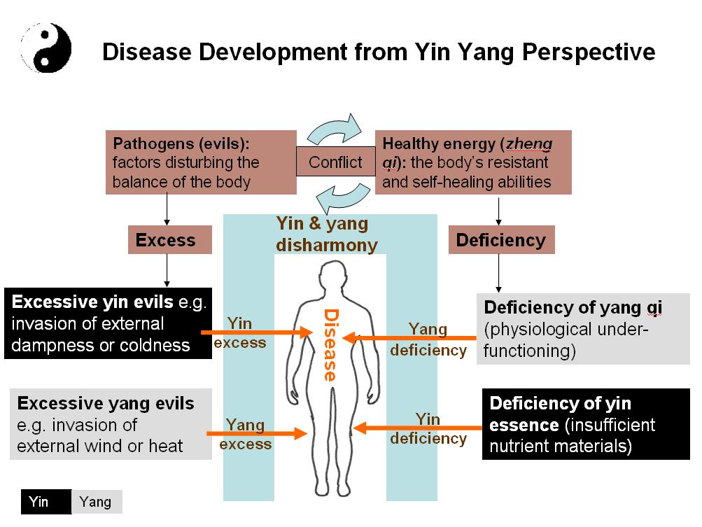 Disease development from a yin yang perspective