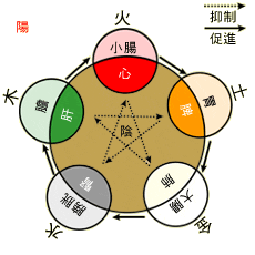 五行與臟腑聯繫