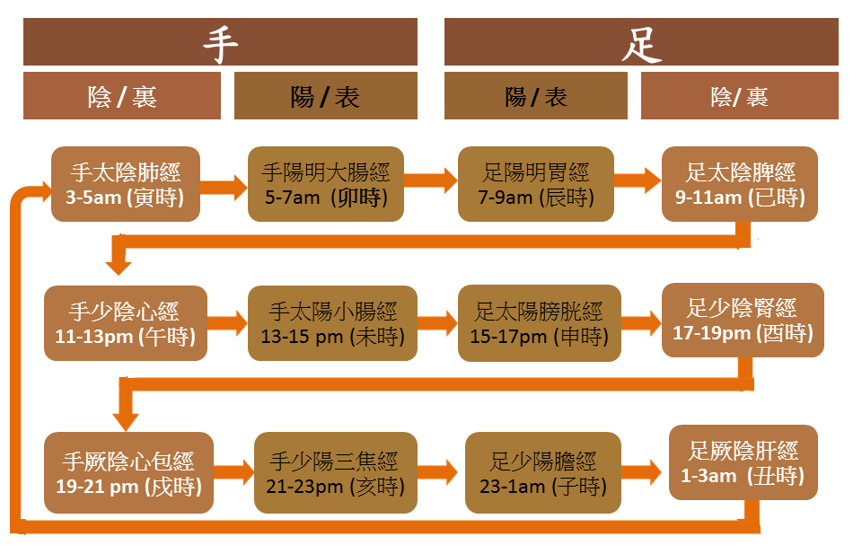 經脈流注圖