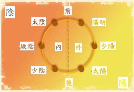 陰陽在肢體上的分佈