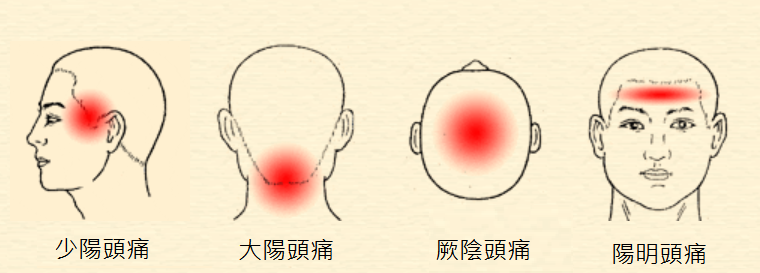 根據頭痛位置辨識病變的經絡