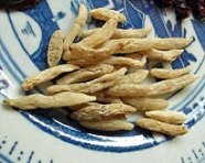 病症指南