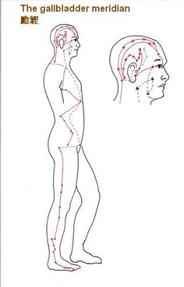 Gallbladder meridian