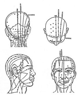 The acupoints and meridians of the head