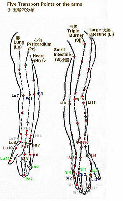 Transport points on the arms