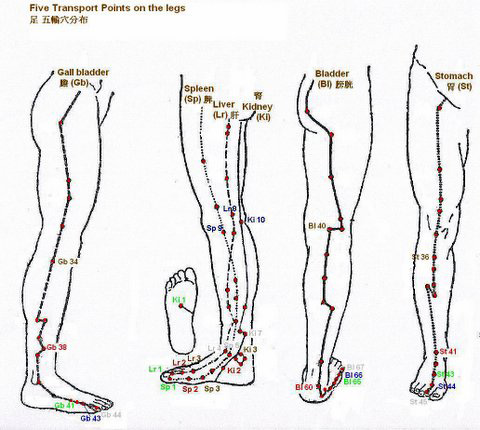 Transport points on the legs