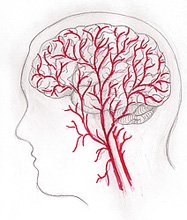 Headache pain is often come from stimulation of pain-sensitive structures surrounding the skull, such as nerves, blood vessels, and muscles.