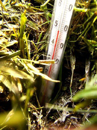 Human excretions are cold in properties and can be used to treat special heat conditions.