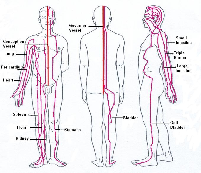 Distributions of the fourteen meridians