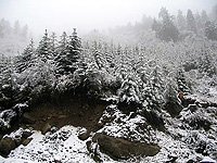 winter