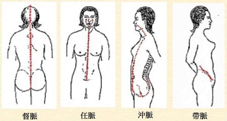 The Governor Vessel, Conception Vessel, Thoroughfare Vessel and Girdling Vessel meridians play important roles in woman's physiology.