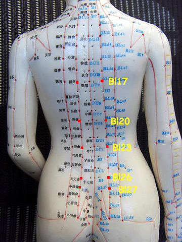 Acupuncture points for blood in the urine
