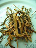 India madder rhizome