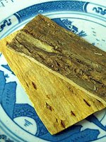 amur corktree bark