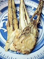 angelica root